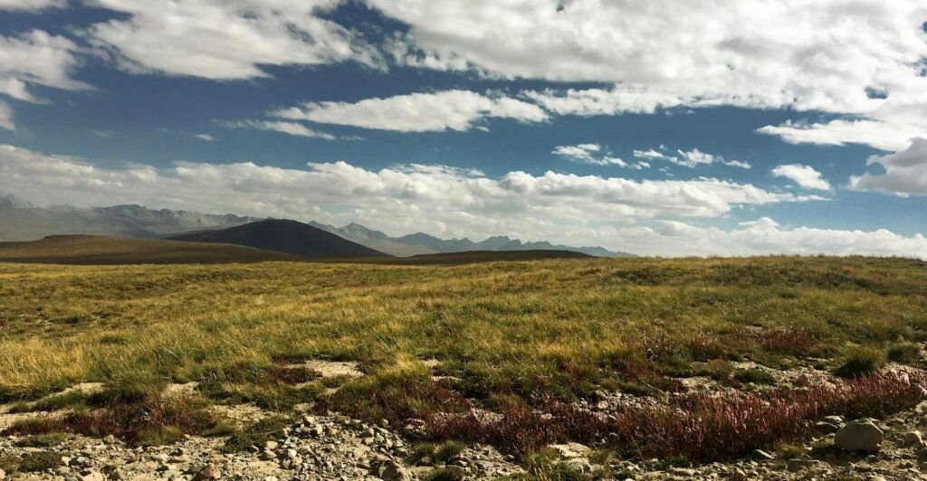 Deosai National Park plains