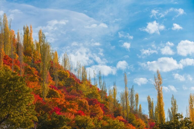 Autumn colours in Hunza Valley, Pakistan