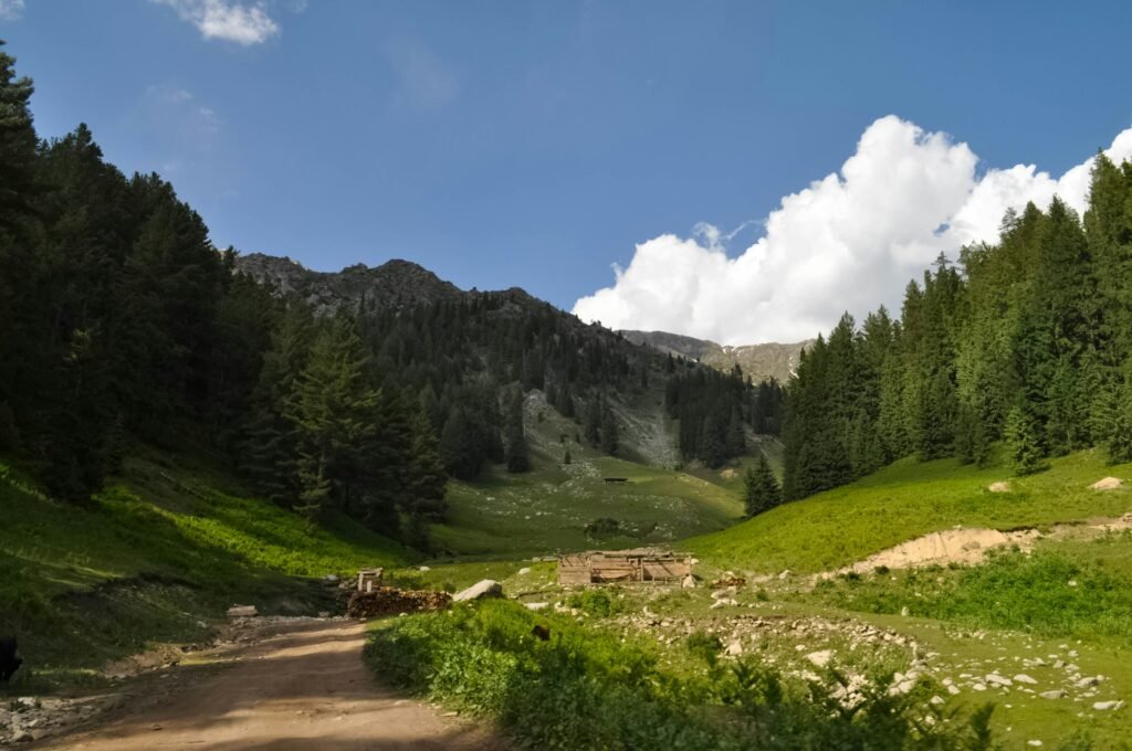 Kumrat Valley green meadows