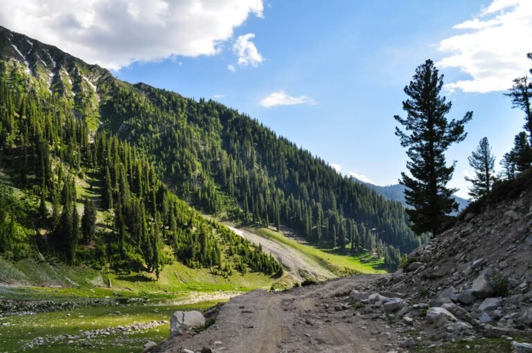 Green mountains of Swat Valley